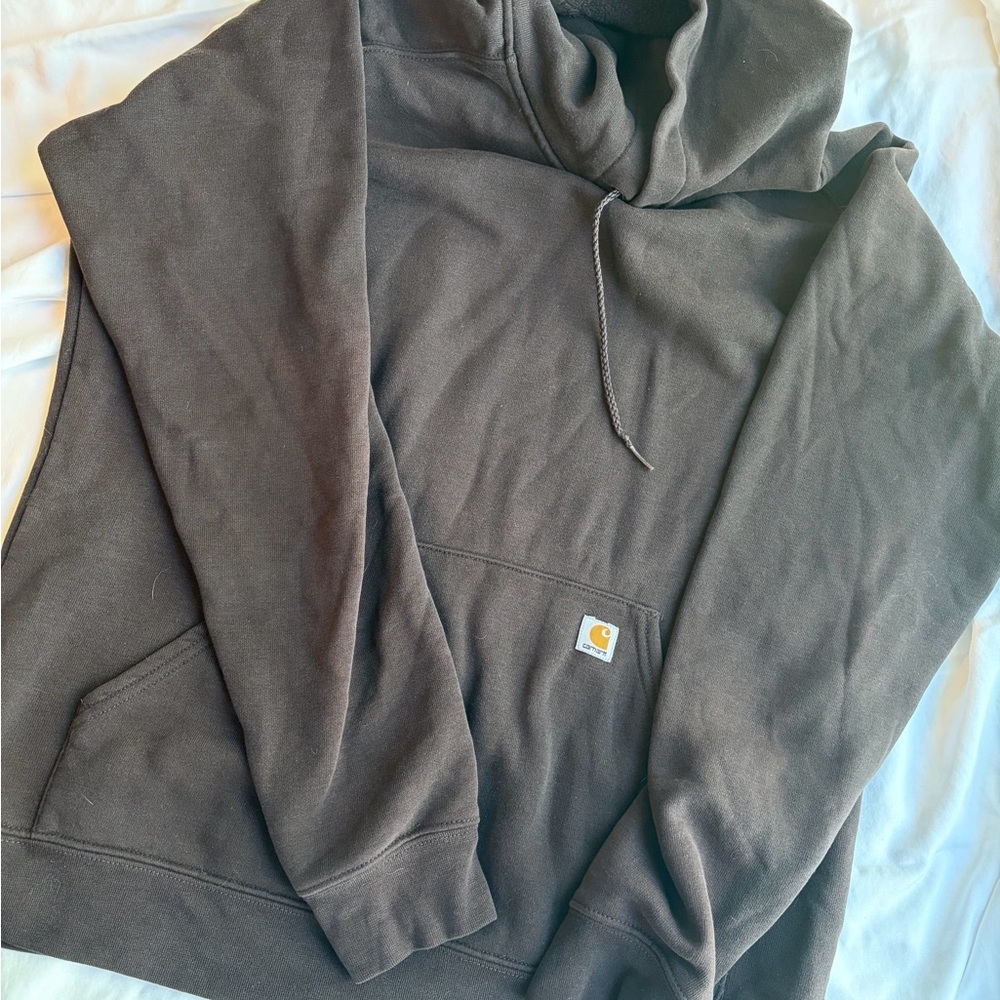 Carhartt  Hooded Sweatshirt in Dark Brown